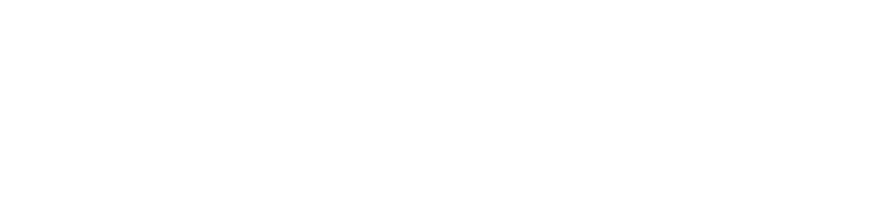 Ratto